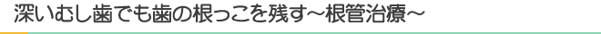深いむし歯でも歯の根っこを残す～根管治療～